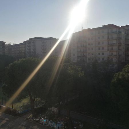La Casa Di Piero Διαμέρισμα Κοσέντζα Εξωτερικό φωτογραφία